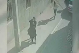 دستور دادستان شهریار برای شناسایی سریع عوامل زورگیری در این شهر

