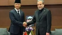 عراقچی با وزیر خارجه اندونزی در مشهد دیدار کرد 