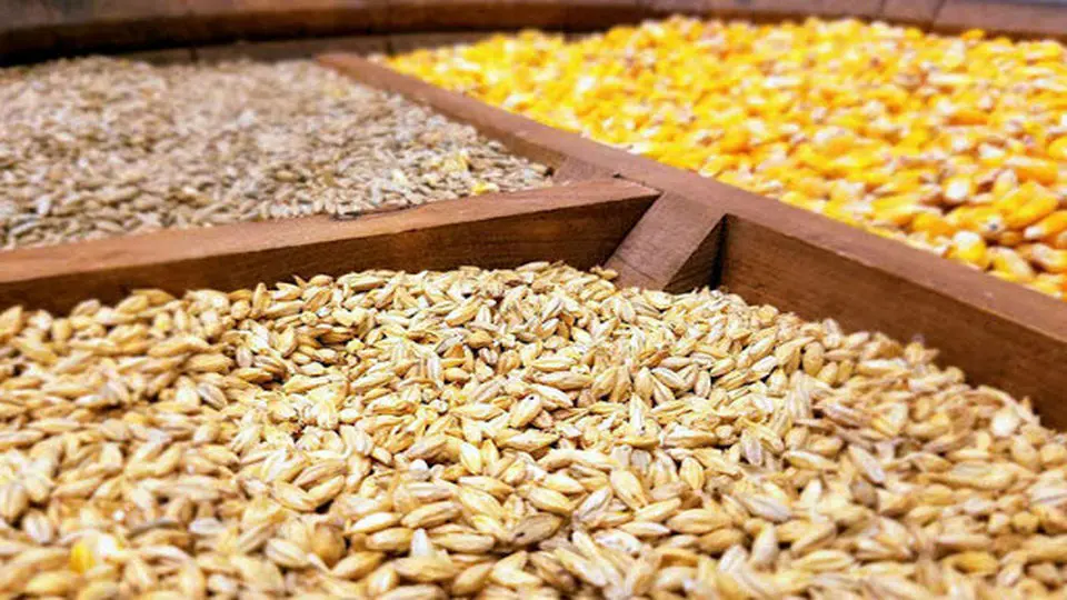 اعلام نرخهای تازه؛ نهادههای دامی، روغن و شکر خام گران یا ارزان؟