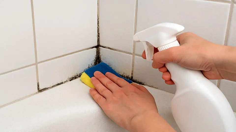 ۷ ترفند برای از بین بردن کپک دستشویی و حمام