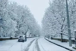 تصاویر دیدنی از برف بر بام فارس+ عکس