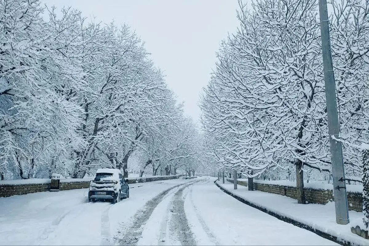 تصاویر دیدنی از برف بر بام فارس+ عکس