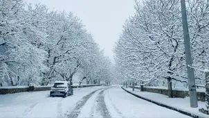 تصاویر دیدنی از برف بر بام فارس+ عکس