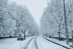 تصاویر دیدنی از برف بر بام فارس+ عکس