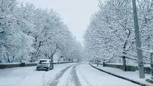 تصاویر دیدنی از برف بر بام فارس+ عکس