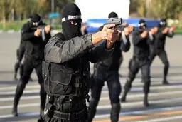 7 ISIL-affiliated terrorists detained in Iran's Kerman