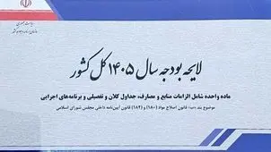 تغییرات لایحه بودجه؛ مالیات بر ارزش افزوده ۱۰ درصد باقی ماند

