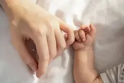 رفتار عجیب برخی زائوها در شرایط جنگ