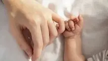 رفتار عجیب برخی زائوها در شرایط جنگ
