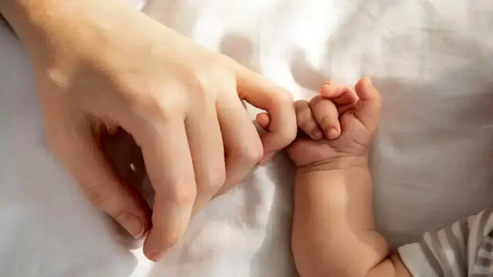 رفتار عجیب برخی زائوها در شرایط جنگ