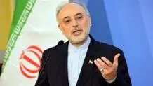 باید در برجام  اعتماد متقابل بازسازی شود