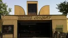 نمی‌دانیم حشره‌ها از کجا آمدند 

