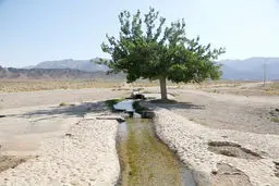 قطب گردشگری یزد در خطر آلودگی‌های سمی