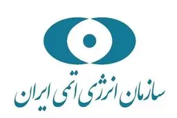 یورونیوز نوشت: حمله اسرائیل بازدید بازرسان آژانس را متوقف کرد