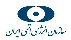 یورونیوز نوشت: حمله اسرائیل بازدید بازرسان آژانس را متوقف کرد