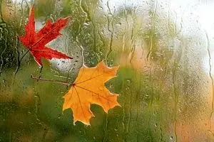 پیش بینی هوای قم فردا 4 فروردین 1405/ بارش باران، وزش باد شدید و احتمال رعد و برق