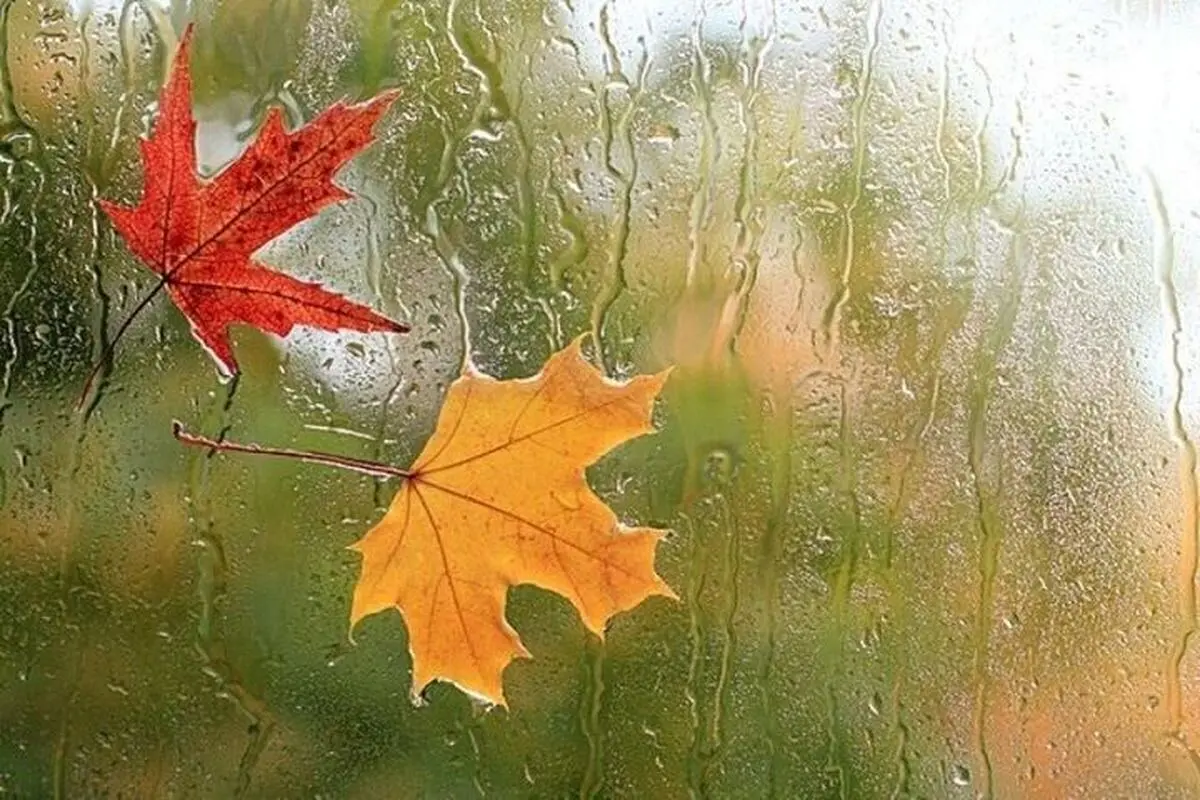 باران پاییزی در راه ایران؛ از این روز هوا بارانی می‌شود

