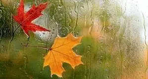 امروز ایران بارانی است / هشدار نارنجی برای ۱۴ استان