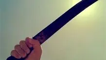 قمه‌کشان باغ آذری هنوز بازداشت نشده‌اند + ویدیو