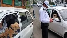 ممنوعیت سگ گردانی در همدان