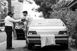جولان پلاک‌های مخدوش
