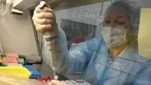 مرگ یک پژوهشگر در روسیه نگرانی‌ها درباره طاعون را افزایش داد؛ کاخ سفید در حال بررسی است