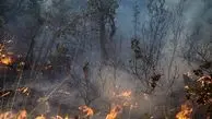 شناسایی و دستگیری 14 نفر از عاملان آتش‌سوزی جنگل‌های مریوان

