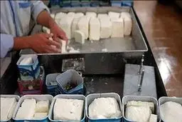 افزایش نسبتا شدید قیمت پنیر ظرف یک‌ماه گذشته + جدول