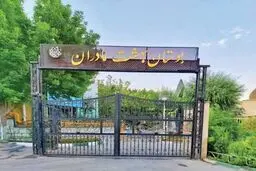 تفکیک جنسیتی، تصمیمی سیاسی
