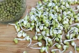 بمب ویتامین و پروتئین را بشناسید
