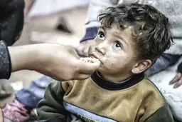 دیگر بس است