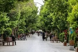 دلواپسی‌های  چهارباغ

