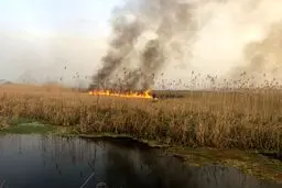 تالاب انزلی دوباره آتش گرفت