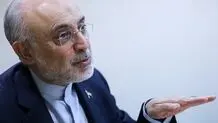 علی اکبر صالحی: تکلیف روابط بین‌‌الملل را روشن کنید
