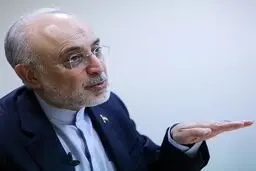 علی اکبر صالحی: تکلیف روابط بین‌‌الملل را روشن کنید
