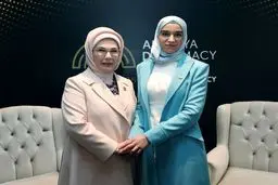 از لطیفه دروبی چه می‌دانیم؟