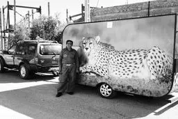 نمی‌شود دست روی دست بگذاریم