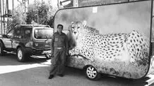 نمی‌شود دست روی دست بگذاریم
