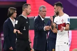فرناندز:لعنت به داوران!