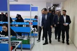 بازدید معاون اقتصادی استاندار همدان از واحدهای صنعتی رزن

