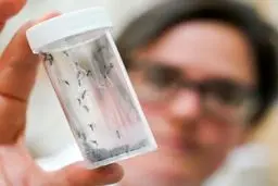 گرمایش زمین و هشدار شیوع یک عفونت ویروسی در سراسر اروپا