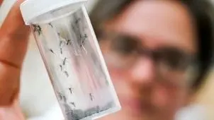 گرمایش زمین و هشدار شیوع یک عفونت ویروسی در سراسر اروپا