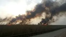 آتش‌سوزی هورالعظیم ادامه دارد 