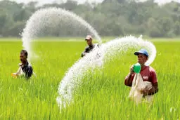 اوره؛ پیوند پتروشیمی با صنایع کلیدی