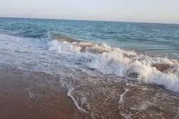 پیش بینی هوای بوشهر؛ یکشنبه 26 خرداد ۱۴۰۴