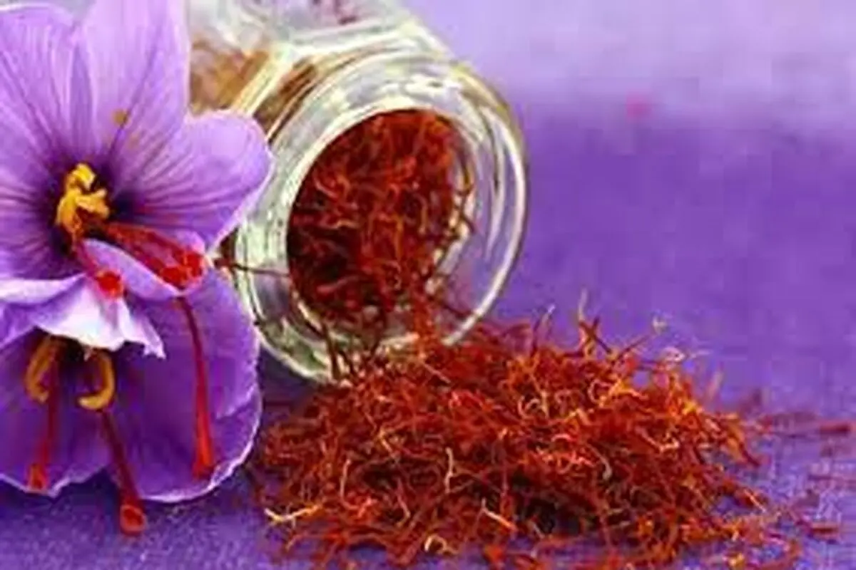  زعفران ایرانی در دنیا نصف شد

