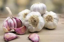 سیر خام؛ معجزه‌ای پنهان یا خطری خاموش؟

