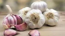 سیر خام؛ معجزه‌ای پنهان یا خطری خاموش؟

