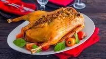 طبع، خواص، مضرات و مُصلح گوشت غاز