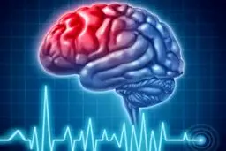 دنیا چگونه کار می‌کند؟

